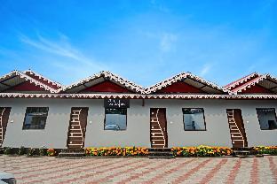 collection o palm tree resort