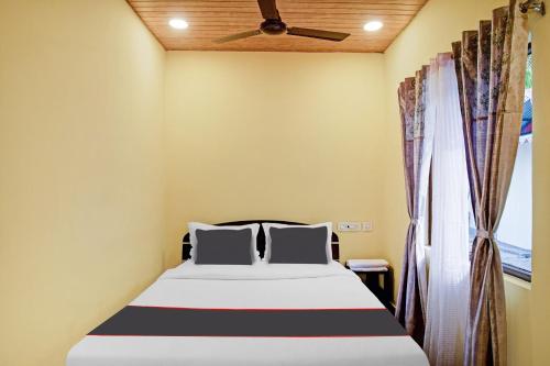 collection o palm tree resort