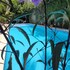 green oasis hotel