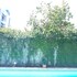 green oasis hotel