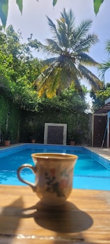 green oasis hotel