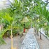 green oasis hotel