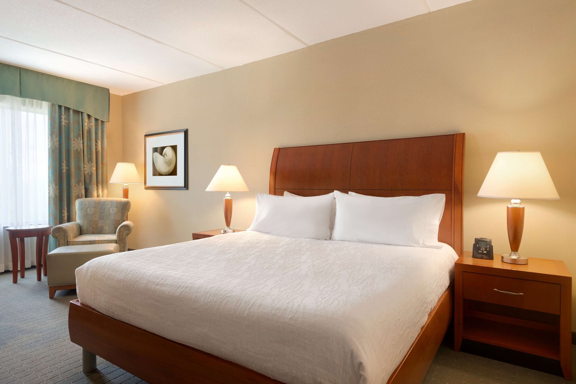 hilton garden inn palm coast town center