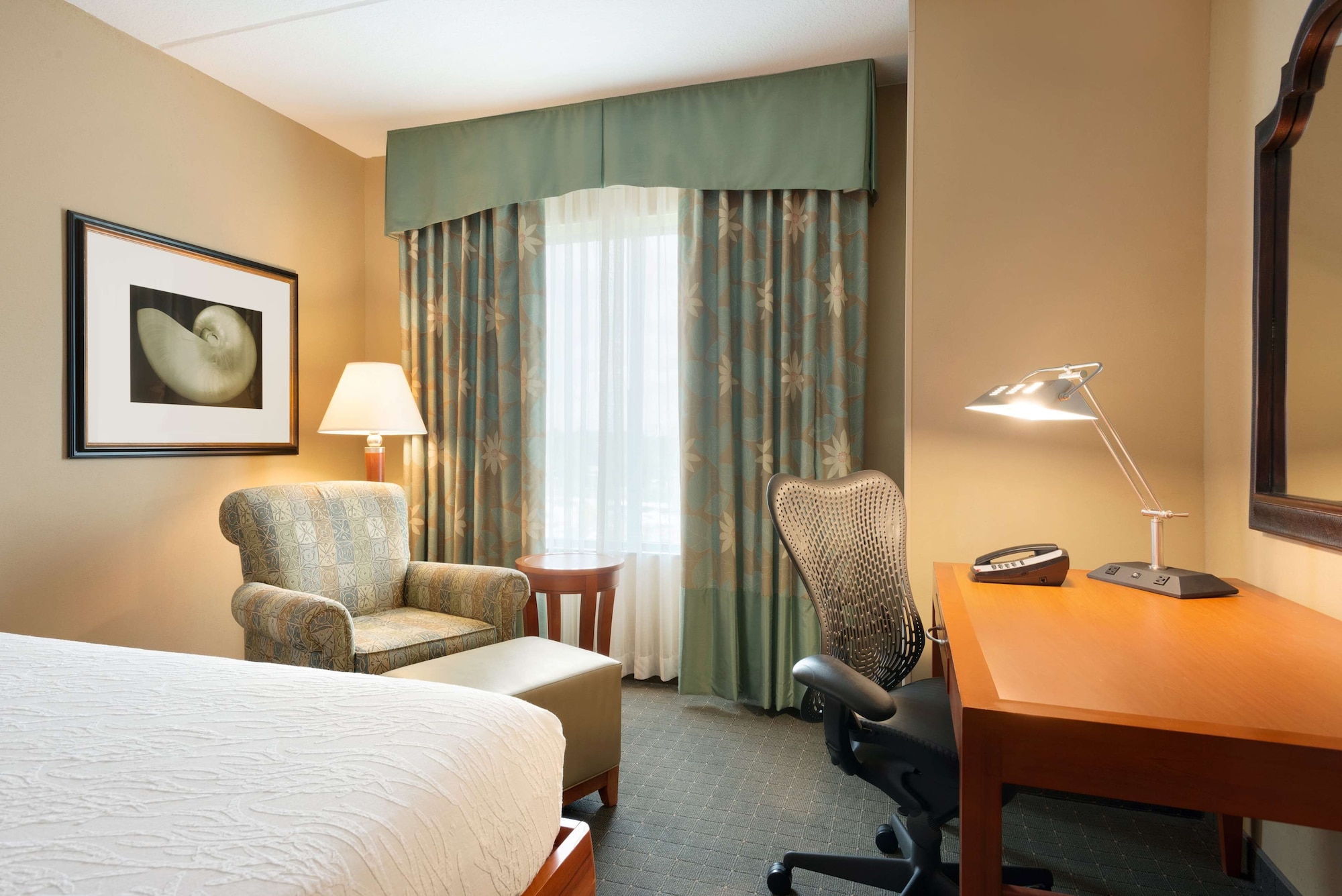 hilton garden inn palm coast town center