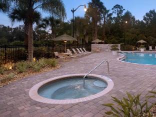 hilton garden inn palm coast town center
