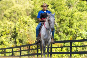 san francisco de macoris
