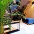 boutique suites