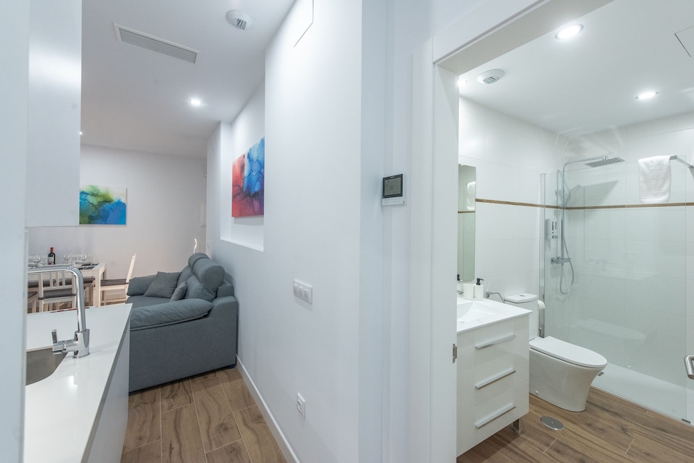 apartamentos santa maria 15