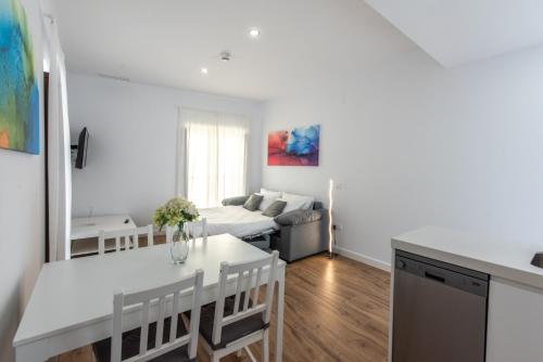 apartamentos santa maria 15