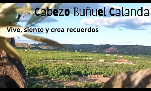 cabezo bunuel
