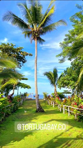 tortuga bay eco hotel
