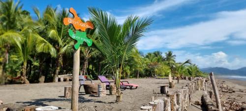 tortuga bay eco hotel