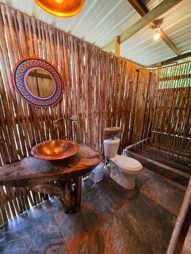 tortuga bay eco hotel