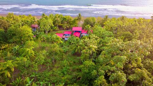 tortuga bay eco hotel