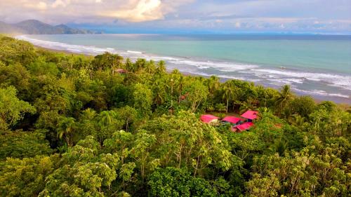 tortuga bay eco hotel