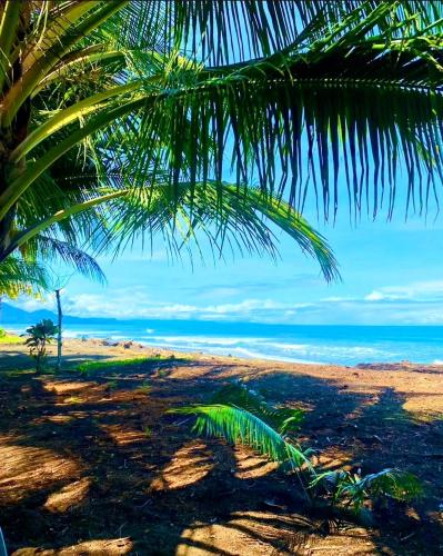 tortuga bay eco hotel