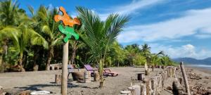 tortuga bay eco hotel