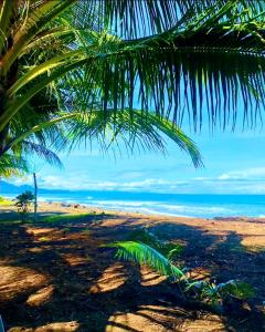 tortuga bay eco hotel