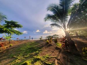 tortuga bay eco hotel