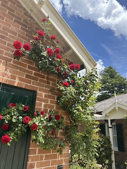 rowan brae historic guest house