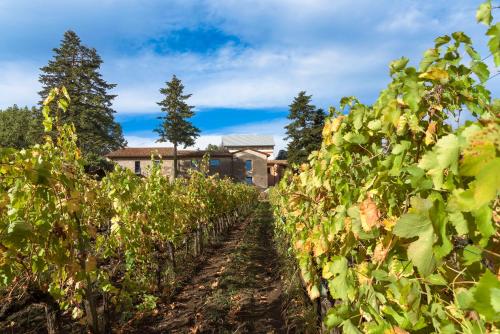 castiglione di sicilia