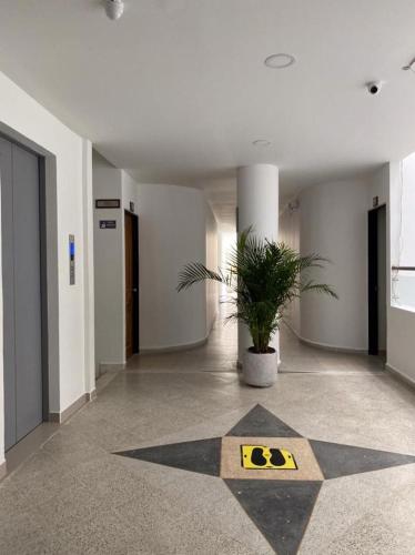 hotel dorado san luis
