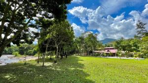 san antonio de cumbaza