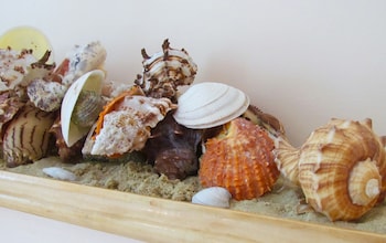 cherry valley manor luxury bed and breakfast