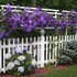 cherry valley manor luxury bed and breakfast