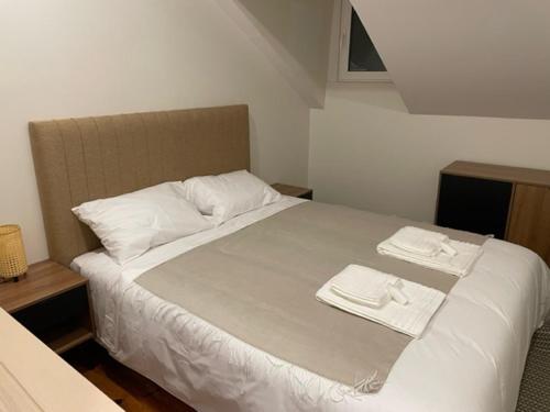 salero guest house
