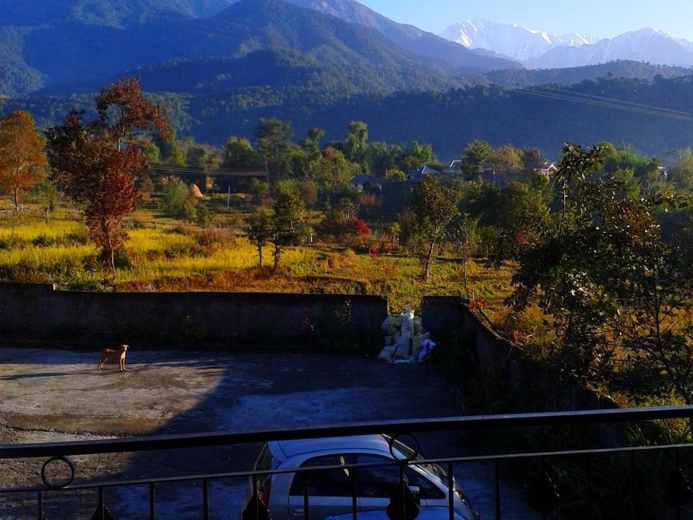 palampur