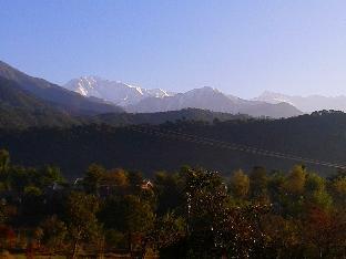 palampur