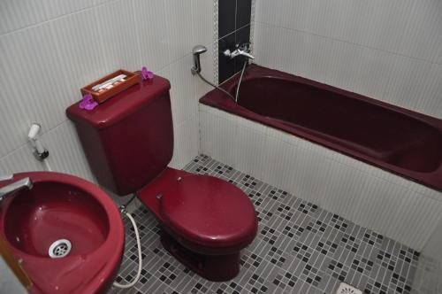 braja mustika hotel bogor