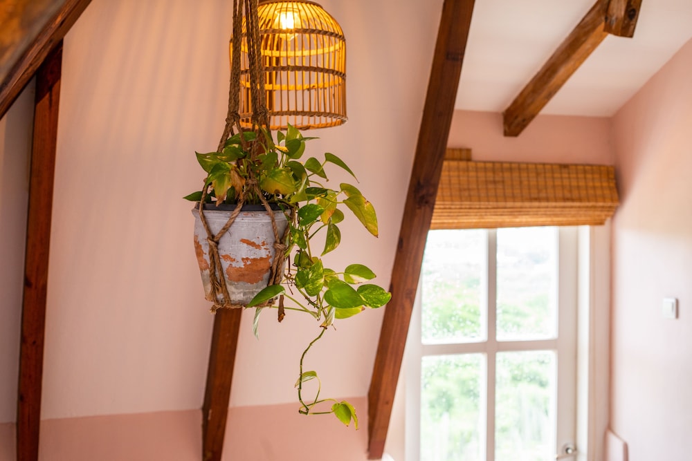 plantation jan thiel lodge