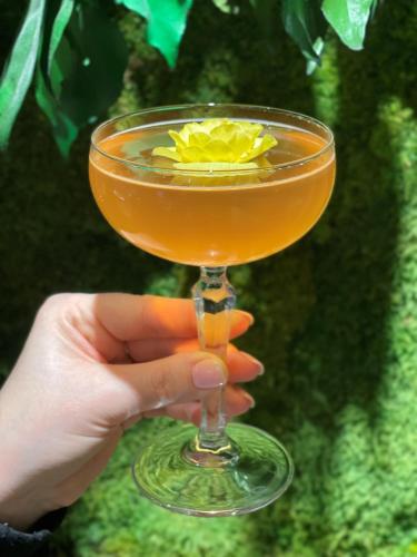 novotel gdansk marina