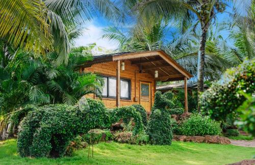 ama stays and trails eden farms goa