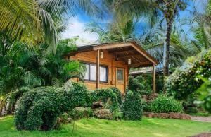 ama stays and trails eden farms goa