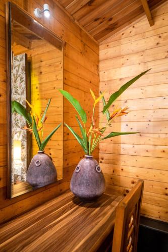 ama stays and trails eden farms goa