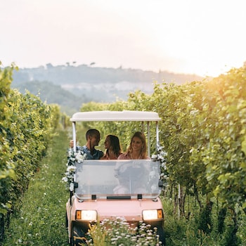 conti thun wine resort