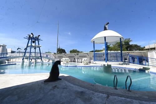 jandv hotel and resort