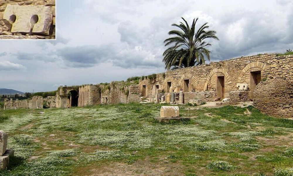 fernana