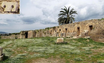 fernana