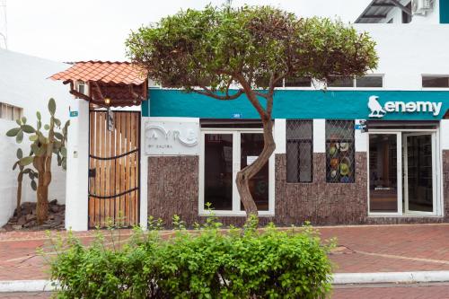 hotel ayre by baltra