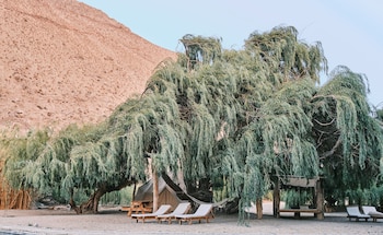 glamping miraflores