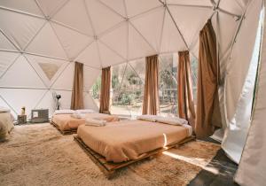 glamping miraflores