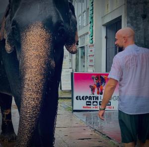 Elepath Lodge - Pinnawala,,3 star