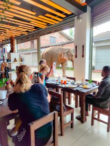 Elepath Lodge - Pinnawala,,3 star