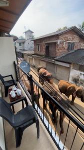 Elepath Lodge - Pinnawala,,3 star