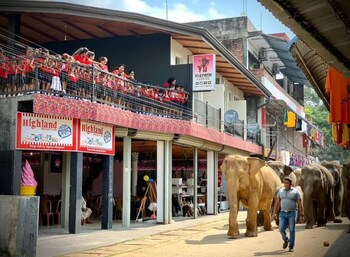 elepath lodge pinnawala