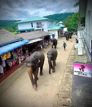 elepath lodge pinnawala
